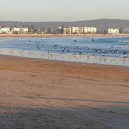 Вілла Darsal-Bwindi, Pour Tomber Amoureux D'Essaouira ! Екстер'єр фото