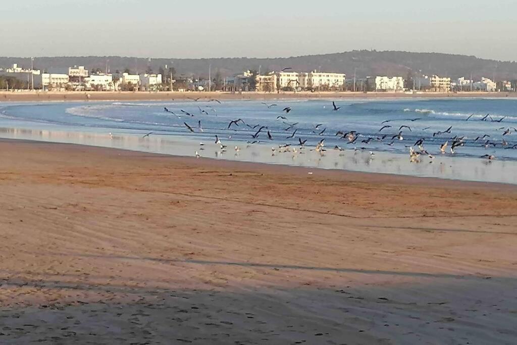 Вілла Darsal-Bwindi, Pour Tomber Amoureux D'Essaouira ! Екстер'єр фото